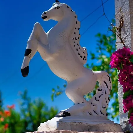 Roel Appartement Saranda