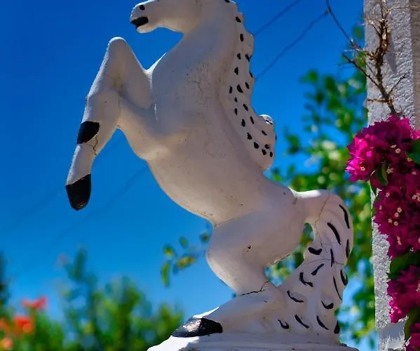 Roel Apartament Saranda